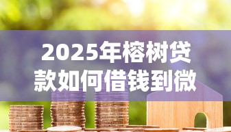 2025年榕树贷款如何借钱到微信？整理5个贷款代理平台