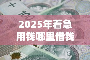 2025年着急用钱哪里借钱最快最安全可靠，公布5个黑征信也能贷款的网贷软件