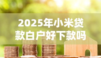 2025年小米贷款白户好下款吗？公布五个网贷平台利息排行