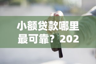 小额贷款哪里最可靠？2026最新测评10个不是中介平台的贷款口子