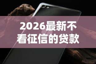 2026最新不看征信的贷款平台，总结十个比较好借钱的平台！