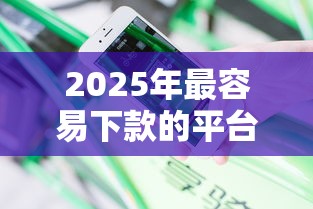 2025年最容易下款的平台？分享5个真正不查征信的贷款口子