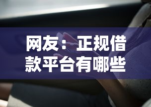 网友：正规借款平台有哪些？求介绍几款借款平台黑户也能借款