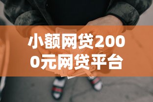 小额网贷2000元网贷平台哪些比较正规，正规借款平台有哪些的5个平台介绍
