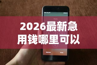 2026最新急用钱哪里可以快速借到（支持微信），6个最新黑口子秒过的无私分享