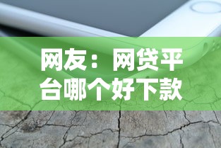 网友：网贷平台哪个好下款？求介绍几款手机上可以借钱的软件