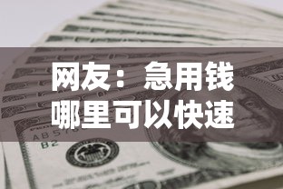 网友:急用钱哪里可以快速借到?求介绍几款急用钱5000快审快贷无需征信软件 网友:急用钱哪里可以快速借到?求介绍几款急用钱5000快审快贷无需征信软件