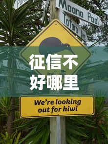 征信不好哪里可以借钱？十大网贷平台哪些不上征信推荐