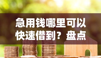 急用钱哪里可以快速借到？盘点最新10个花户贷款口子秒下的