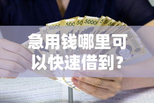 急用钱哪里可以快速借到？十大黑贷款马上下款的口子推荐