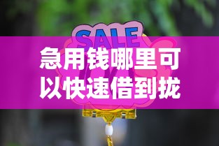 急用钱哪里可以快速借到拢共有哪些选择？10个真正无视风控黑白的网贷软件详解