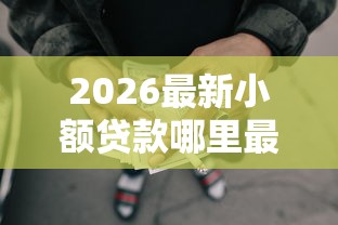 2026最新小额贷款哪里最可靠，总结十个哪些属于网贷平台！