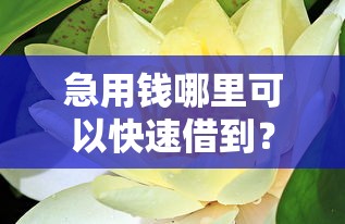 急用钱哪里可以快速借到？这10个跟安逸花差不多的平台值得一试