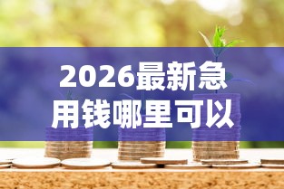 2026最新急用钱哪里可以快速借到（支持微信），8个哪些贷款平台可靠无私分享