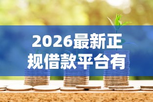 2026最新正规借款平台有哪些（支持微信），8个无视评分的贷款口子无私分享