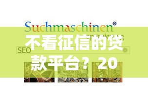 不看征信的贷款平台？2026最新测评10个容易通过的贷款平台