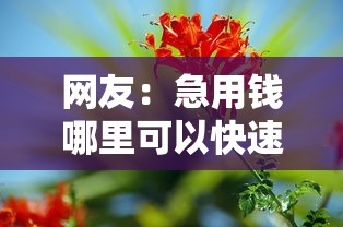 网友：急用钱哪里可以快速借到？求介绍几款和乐享花一样的平台