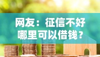 网友：征信不好哪里可以借钱？求介绍几款平台容易借款成功