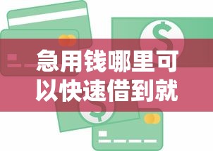 急用钱哪里可以快速借到就选这7个3000元学生分期贷款平台