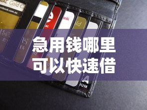 急用钱哪里可以快速借到？2026最新测评10个借款平台好贷款啊