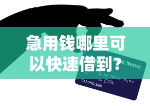 急用钱哪里可以快速借到？十大都贷款平台推荐