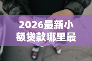 2026最新小额贷款哪里最可靠，总结十个网贷太多被拒平台还能贷！