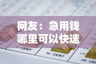 网友：急用钱哪里可以快速借到？求介绍几款网贷平台哪些好