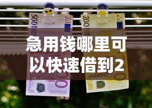 急用钱哪里可以快速借到2000元无门槛本月借款平台力荐！分享小额网贷口子2000元无门槛借款